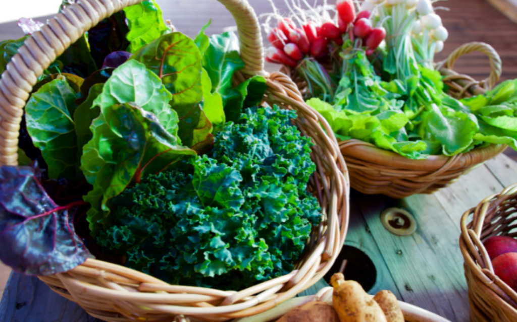 Know How You Can Reverse Your PCOS! 3 www.hormonereset.in post know how you can reverse your pcos 1