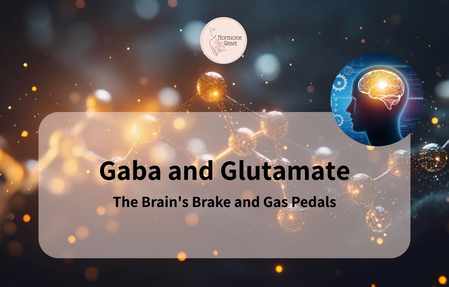 GABA and glutamate