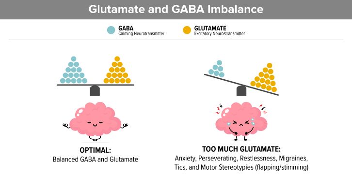 GABA and Glutamate: The Brain’s Brake and Gas Pedals 5 GABA and glutamate