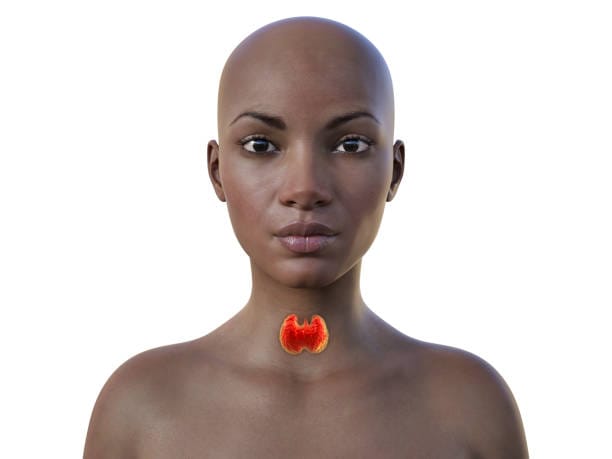 How to Gain Weight with Thyroid Problems: A Comprehensive Guide 3 Throid 2