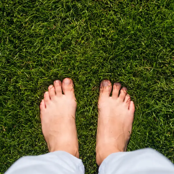 The Mother Earth Effect (Grounding or Earthing): How Reconnecting with the Earth May Support Healing? 3 Grounding and Chronic Inflammation
