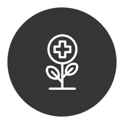 Healing Rheumatoid Arthritis with Functional Medicine 18 aa icon 11